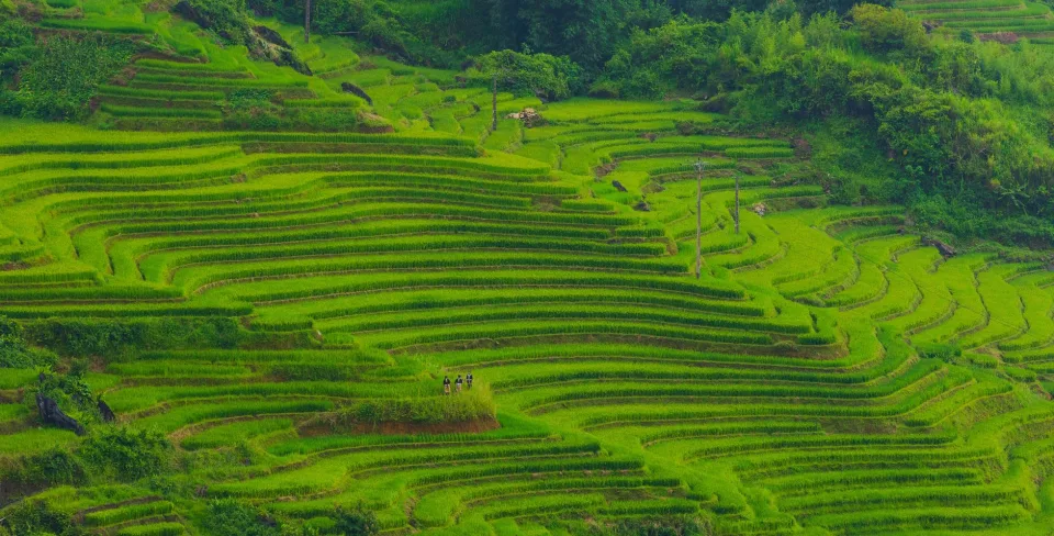 Kho gạo của Lê Anh Tú